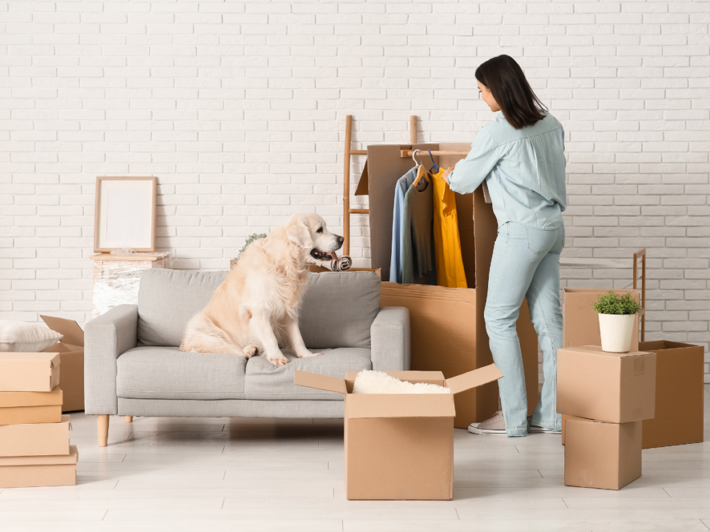 Moving with Pets: A Stress-Free Relocation Guide for Safe and Comfortable Pet Travel 1 A woman unpacks clothes from a box while her golden retriever sits on a gray sofa. Cardboard boxes and a potted plant are scattered around the room, highlighting the joys and challenges of moving with pets.
