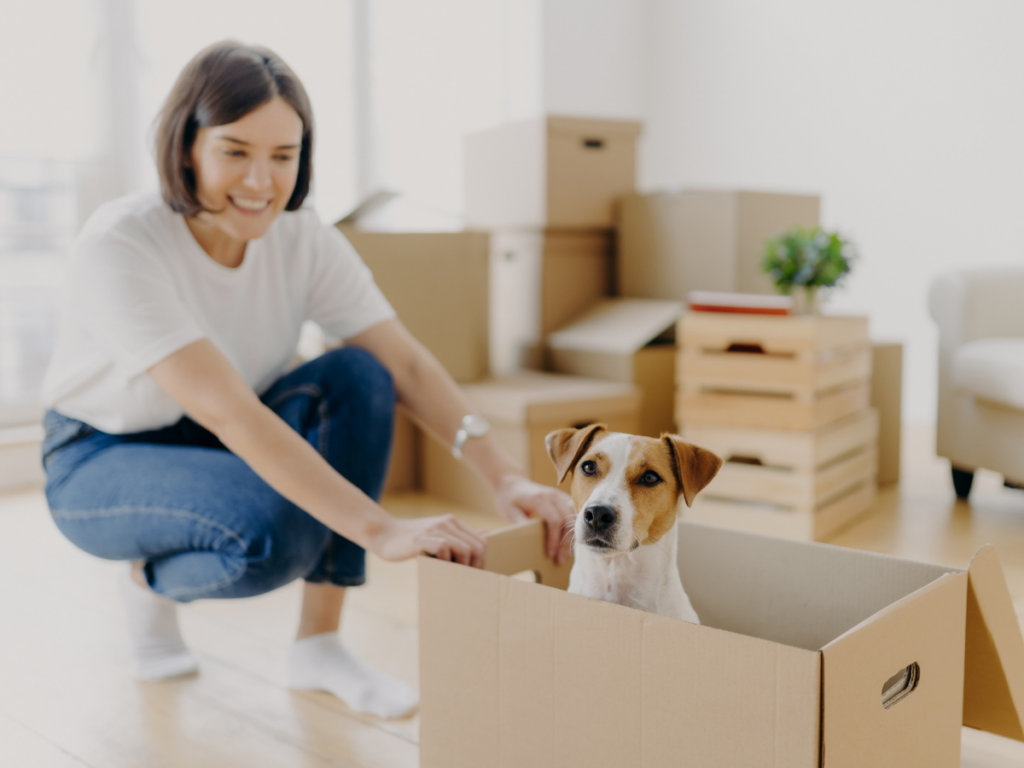 Moving with Pets: A Stress-Free Relocation Guide for Safe and Comfortable Pet Travel 3 A woman kneels on the floor and smiles at a small dog sitting inside a cardboard box, surrounded by packed boxes and household items—capturing the joy of moving with pets.