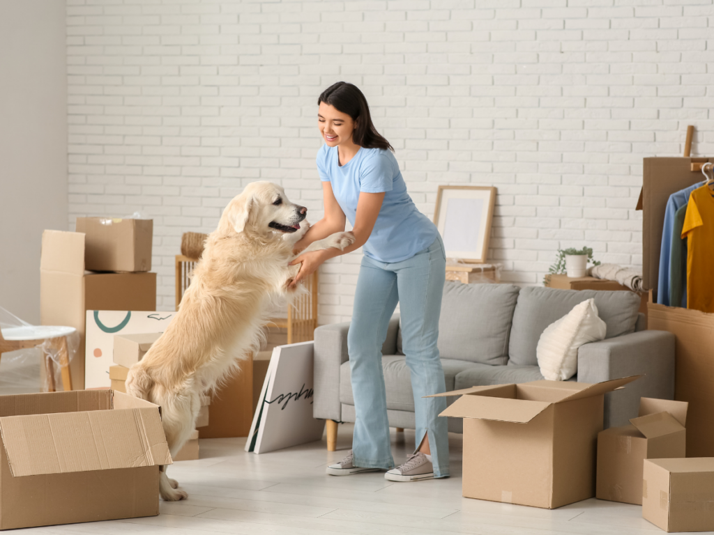 Moving with Pets: A Stress-Free Relocation Guide for Safe and Comfortable Pet Travel 4 A woman stands in a living room filled with moving boxes, holding the front paws of a standing golden retriever—capturing a joyful moment of moving with pets.